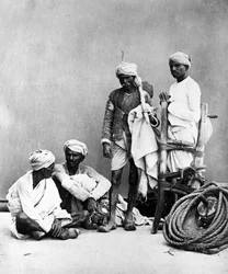 Lodhas, Rajasthan